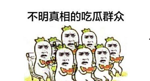 都说自己是吃瓜群众  第2张